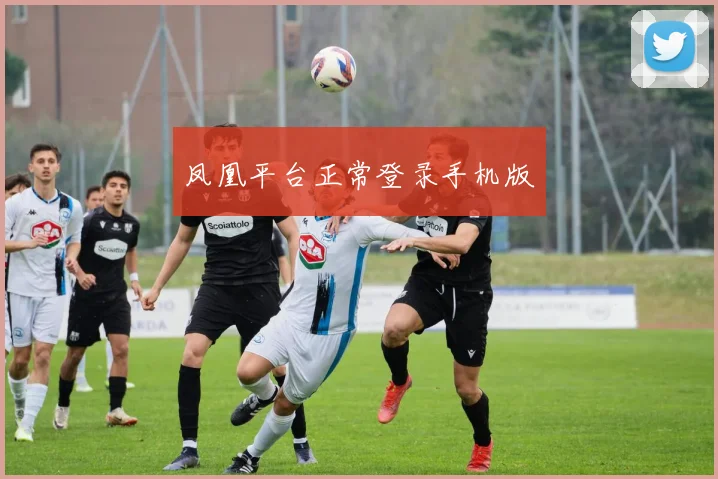 凤凰平台正常登录手机版
