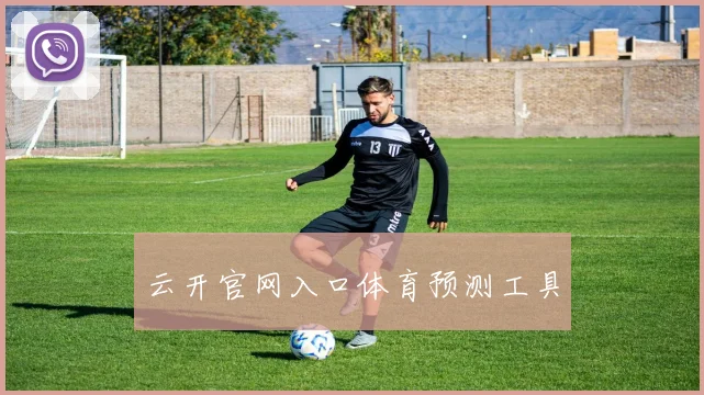 云开官网入口体育预测工具