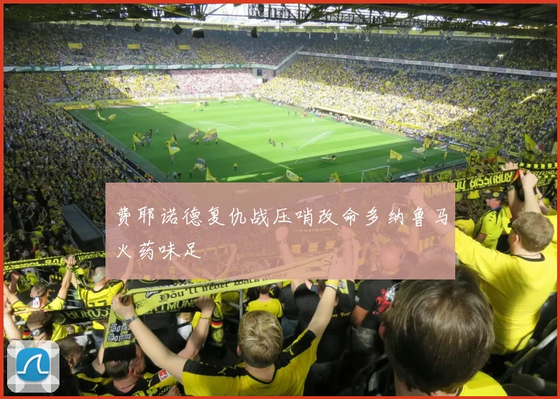 费耶诺德复仇战压哨改命多纳鲁马火药味足
