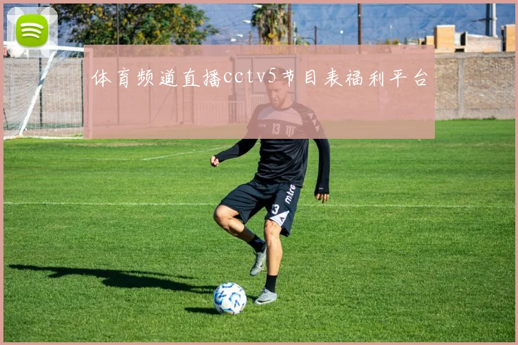 体育频道直播cctv5节目表福利平台