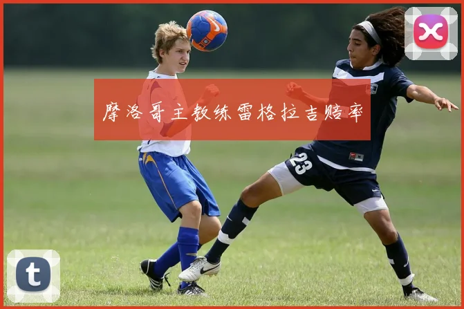 摩洛哥主教练雷格拉吉赔率