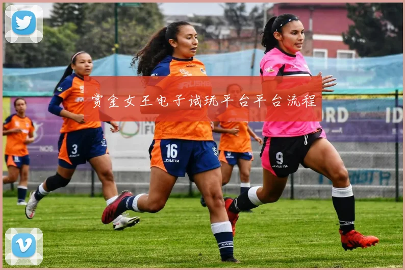 赏金女王电子试玩平台平台流程