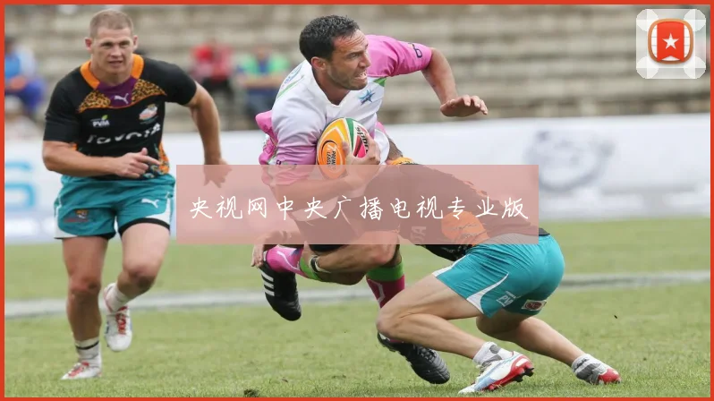 央视网中央广播电视专业版
