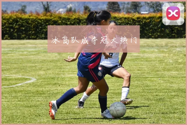 冰岛队成夺冠大热门