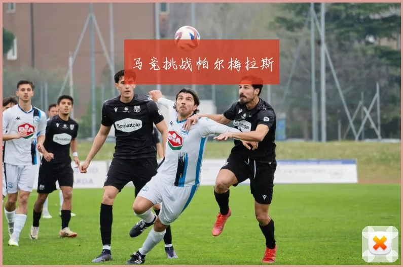 马竞挑战帕尔梅拉斯