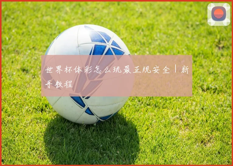 世界杯体彩怎么玩最正规安全｜新手教程