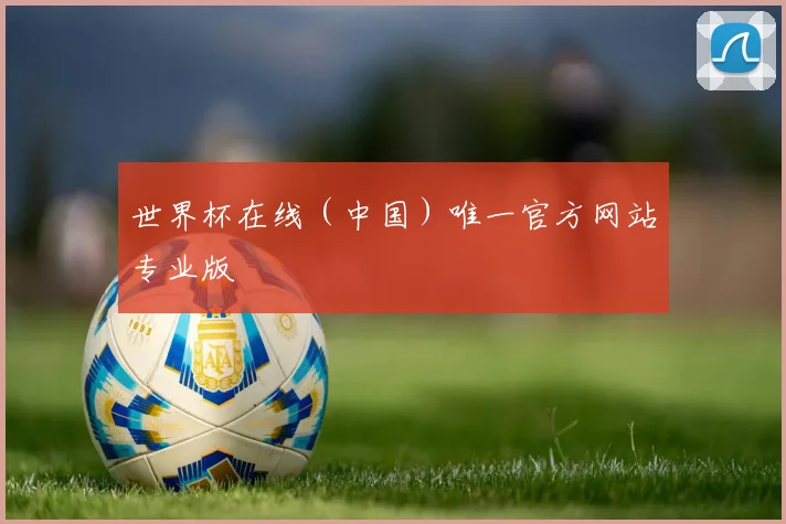 世界杯在线（中国）唯一官方网站专业版