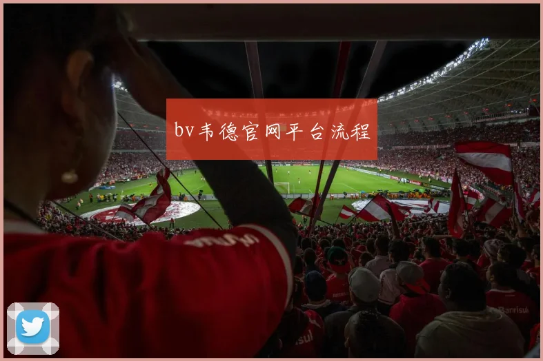 bv韦德官网平台流程