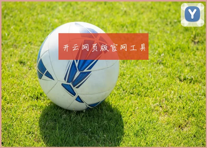 开云网页版官网工具