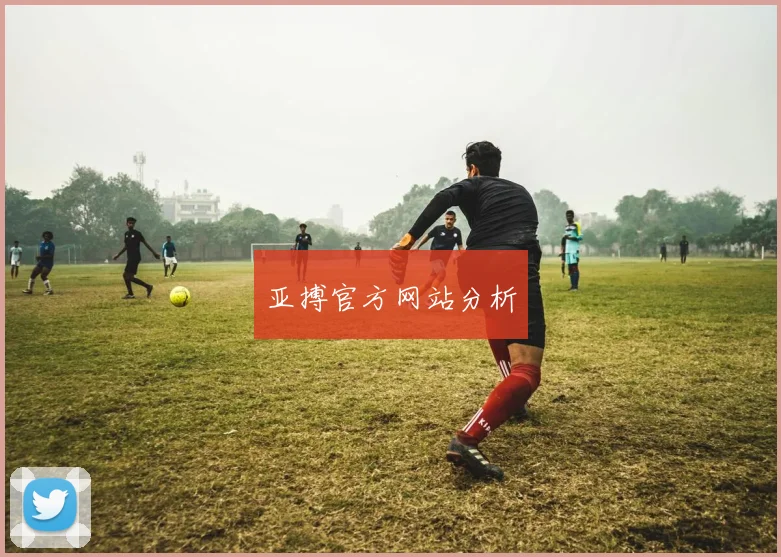 亚搏官方网站分析
