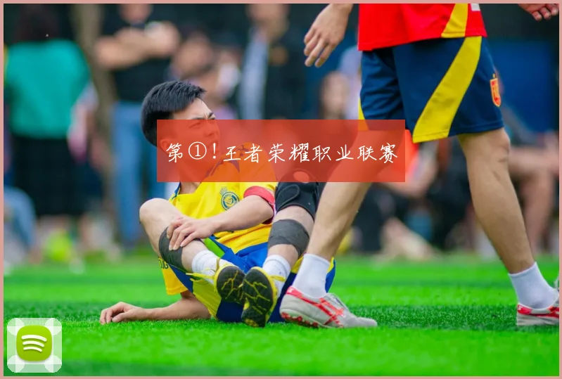 第①!王者荣耀职业联赛