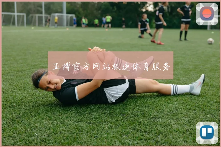 亚搏官方网站极速体育服务