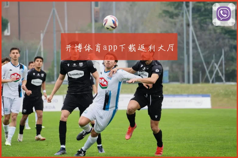 开博体育app下载返利大厅