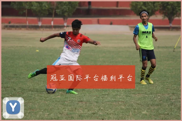 冠亚国际平台福利平台