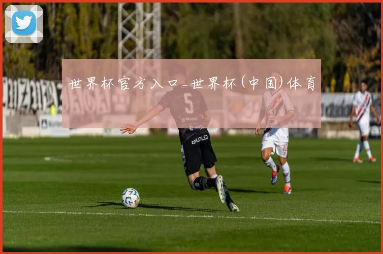 世界杯官方入口_世界杯(中国)体育