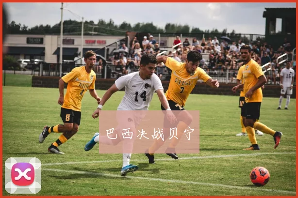 巴西决战贝宁
