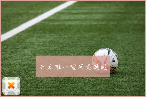 开云唯一官网无延迟