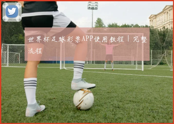 世界杯足球彩票APP使用教程｜完整流程