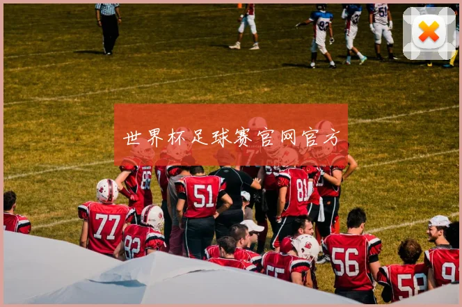 世界杯足球赛官网官方