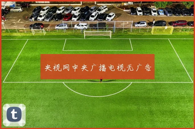 央视网中央广播电视无广告