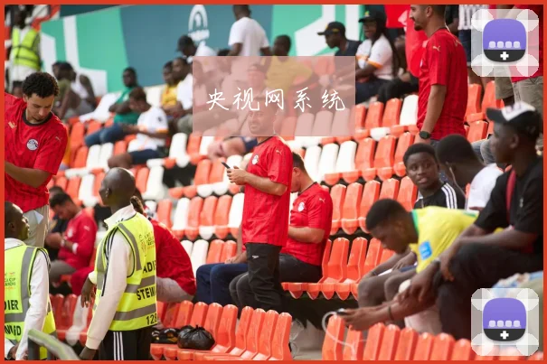 央视网系统
