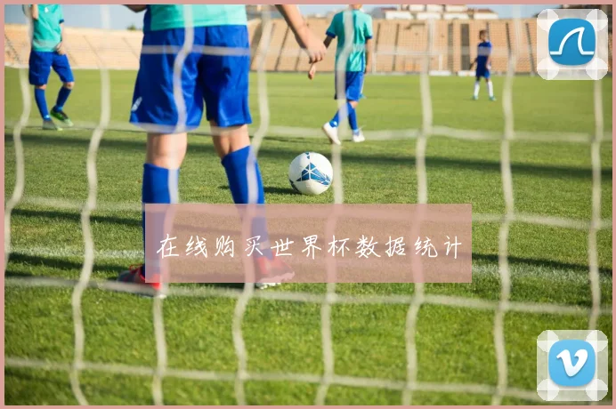 在线购买世界杯数据统计