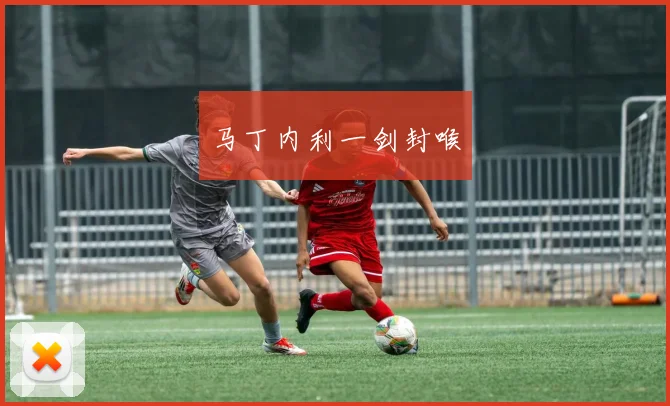 马丁内利一剑封喉