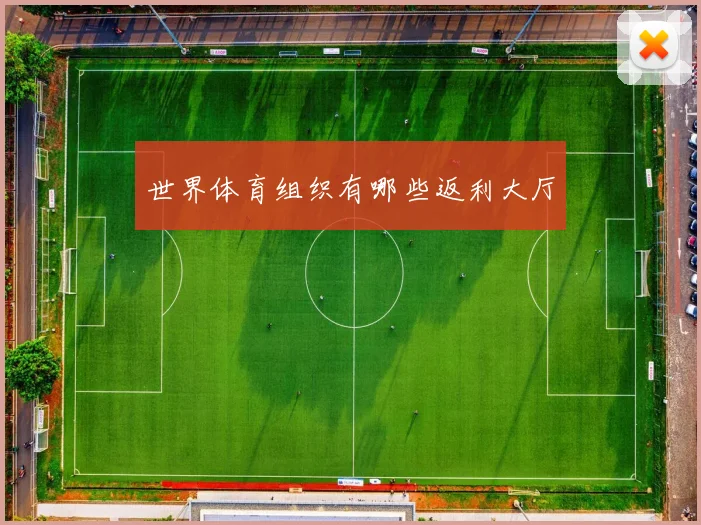 世界体育组织有哪些返利大厅