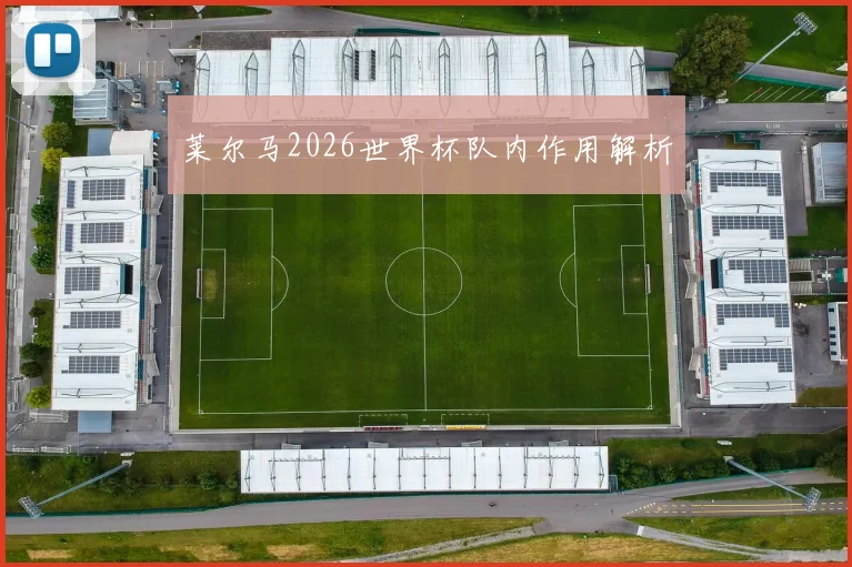 莱尔马2026世界杯队内作用解析