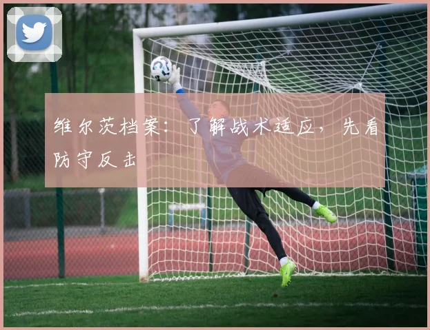 维尔茨档案:了解战术适应,先看防守反击