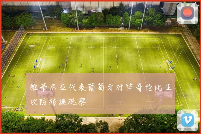 维蒂尼亚代表葡萄牙对阵哥伦比亚攻防转换观察