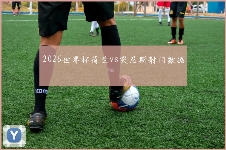 2026世界杯荷兰vs突尼斯射门数据