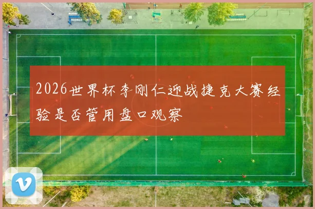2026世界杯李刚仁迎战捷克大赛经验是否管用盘口观察